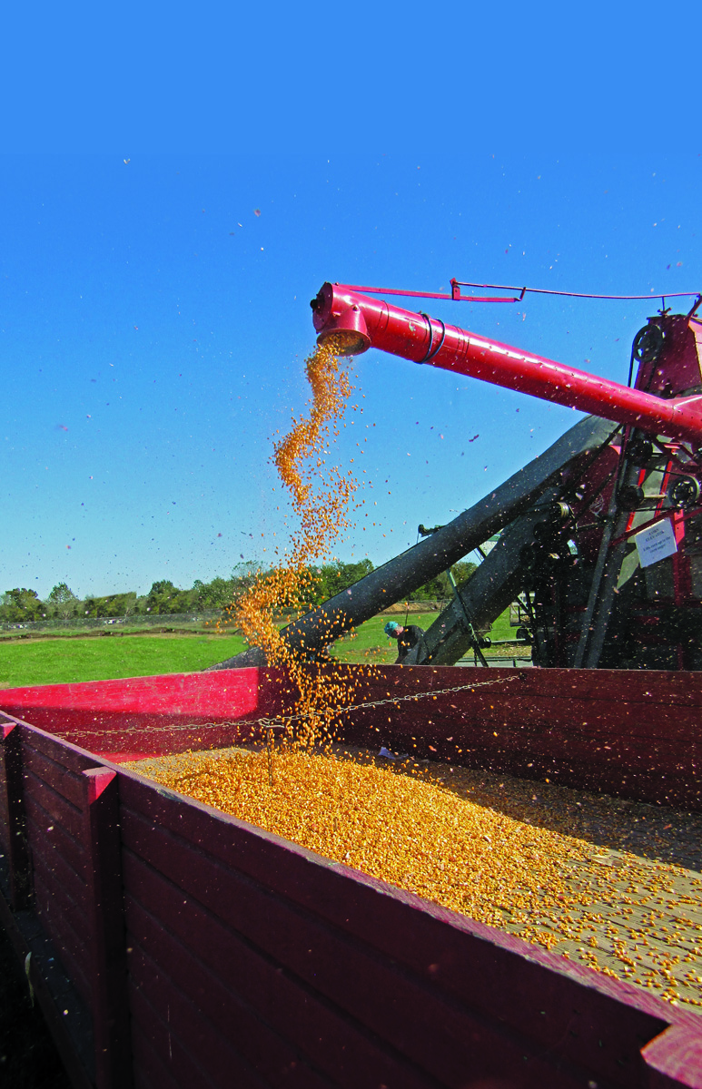 Homemade Corn Sheller Built to Work Farm Collector